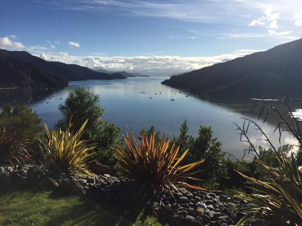 Okiwa Bay Lodge Picton Bagian luar foto